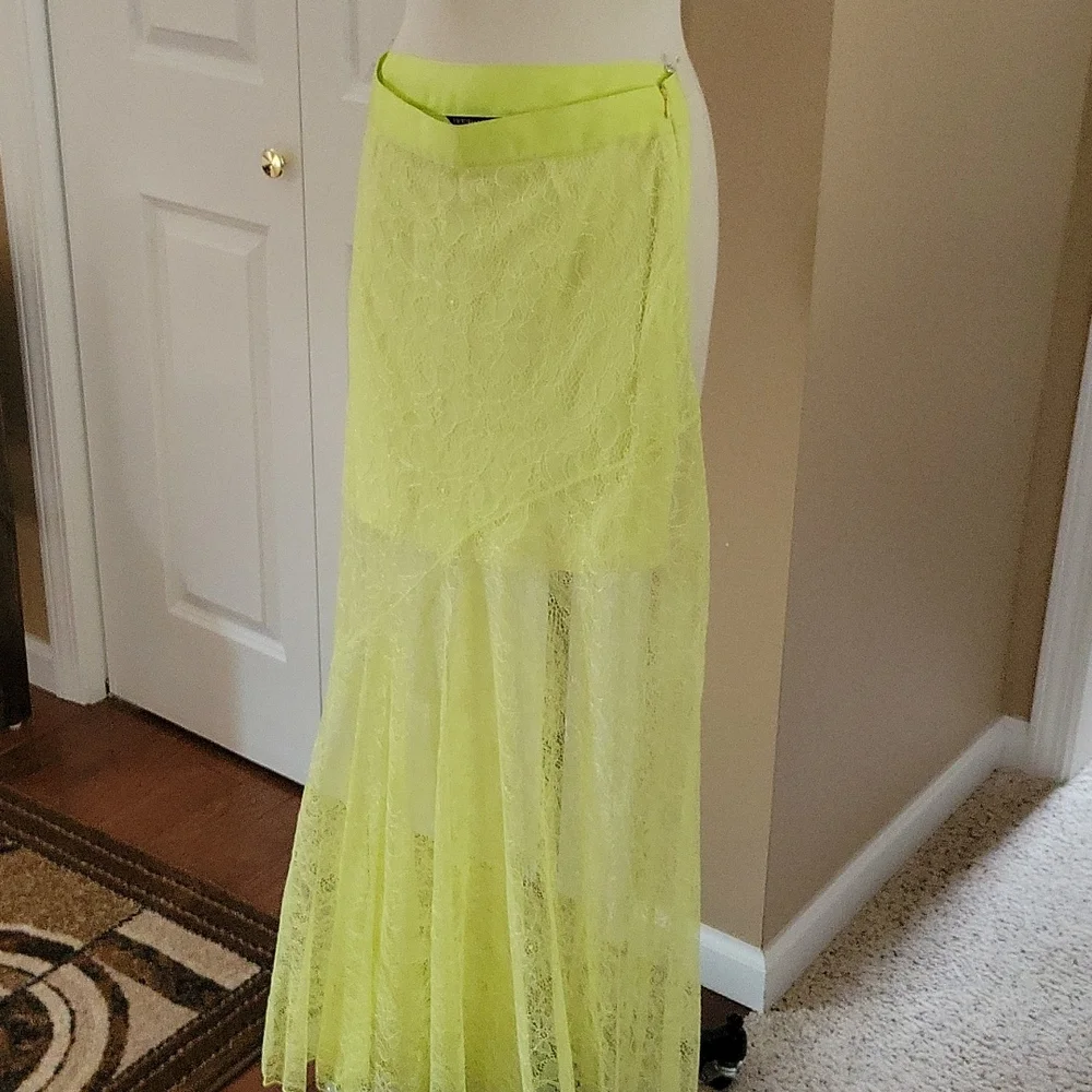 Lace Skirt - Picture 1 of 4